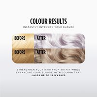 color bomb blondes silver blonde