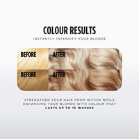 color bomb warm blonde