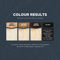 ultra protect plex blonding kit