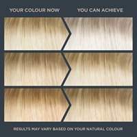 permanent colour lightest blonde