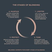 permanent colour lightest blonde