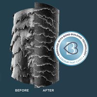 semi-permanent lilac grey