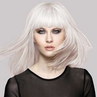 maximum blonde toner ice blonde