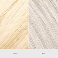 maximum colour toner silver